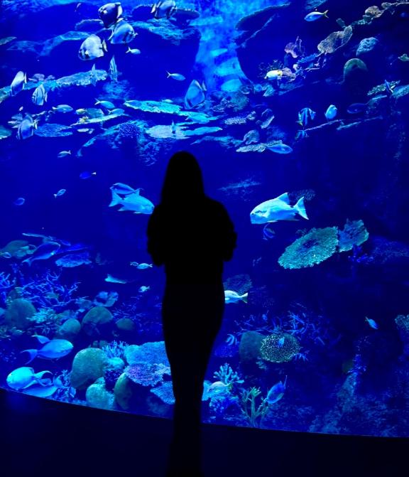 水族館
